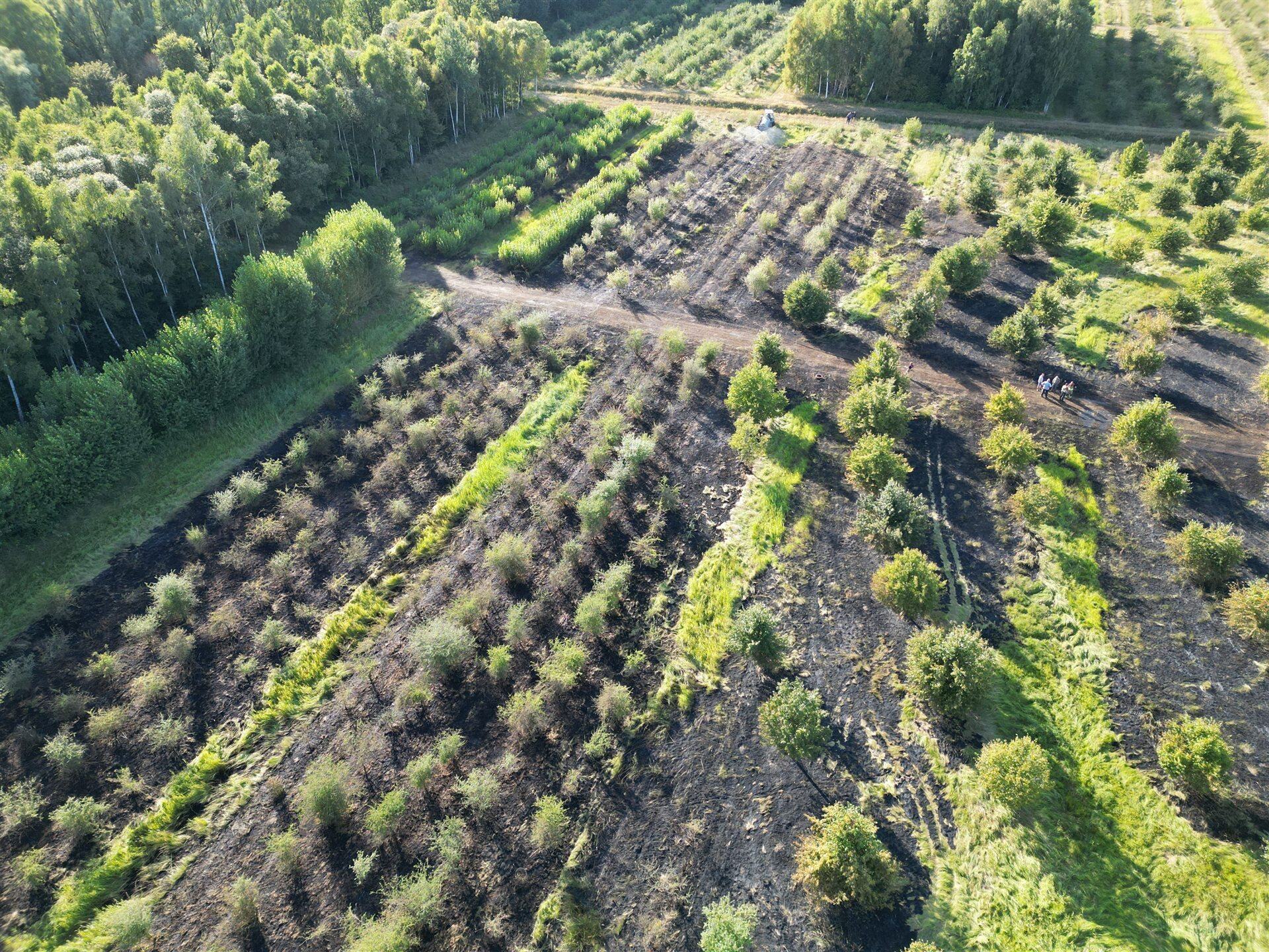 Bosbrand bij Dronten vanuit de lucht